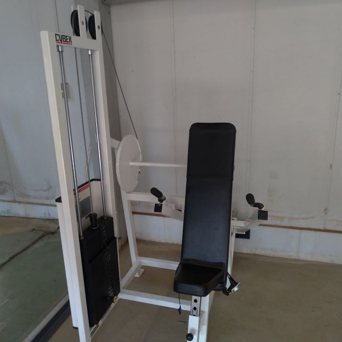 CYBEX VRクラッシック ディップス