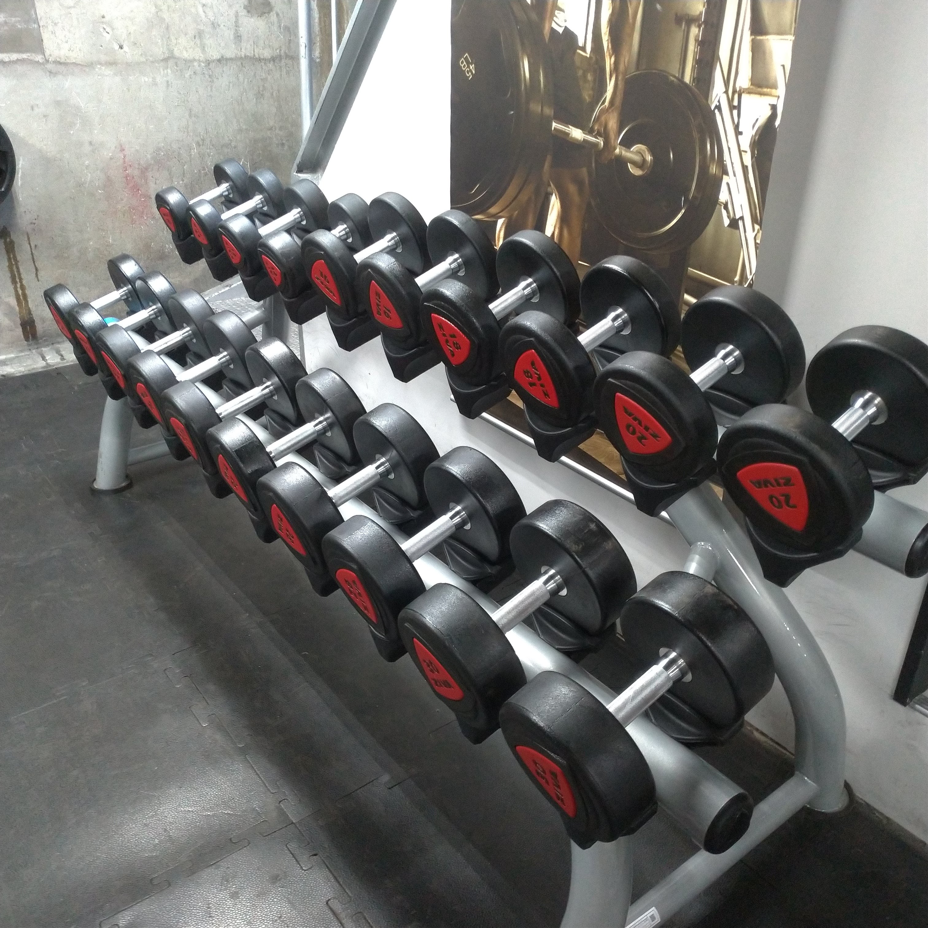 ZIVA ダンベルセット12~30kg+ラック付